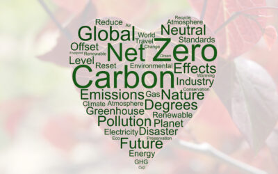 Zero Carbon Electricity