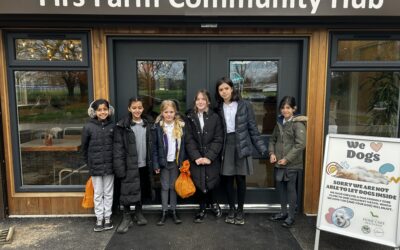 Grange Park Primary School Eco Ambassadors work to provide important habitat at  Firs Farm Wetlands Centre